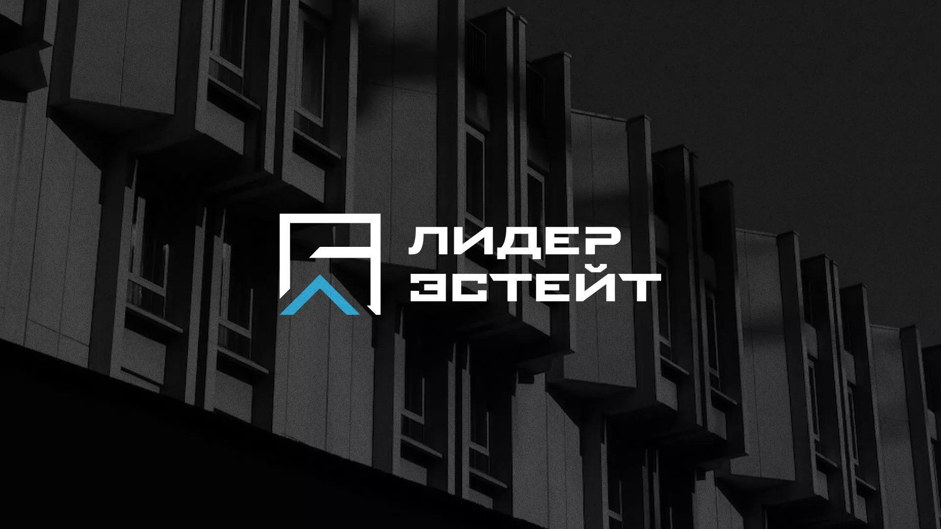 Разработка логотипа агентства недвижимости «Лидер Эстейт» в Перми